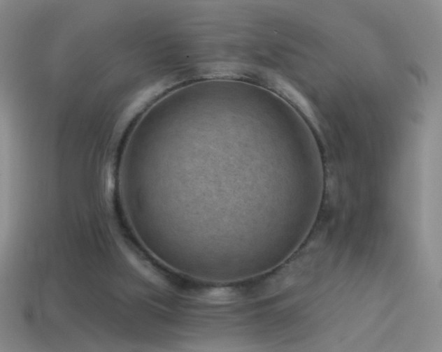 X0000114690059200910211321