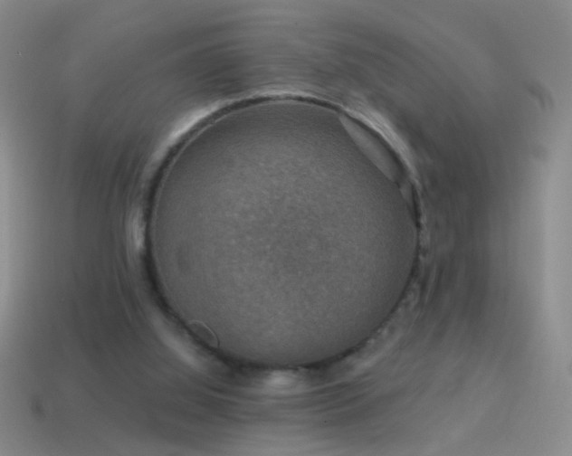 X0000114690060200910211321