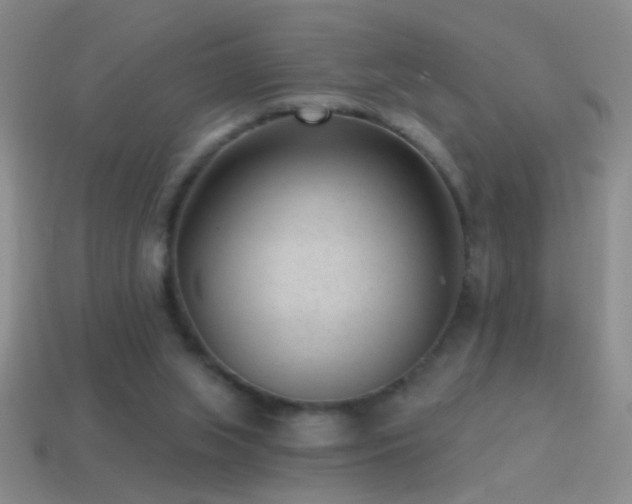 X0000114690063200910211321