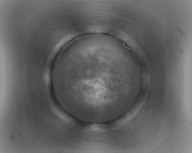 X0000114690064200910211321