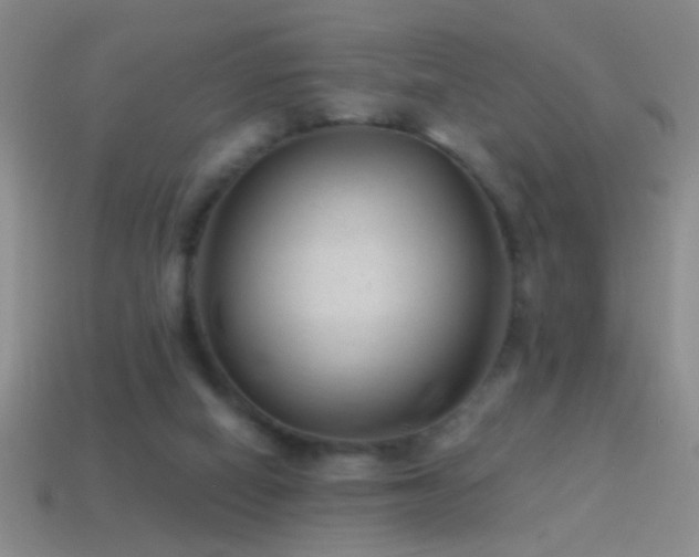 X0000114690066200910211321