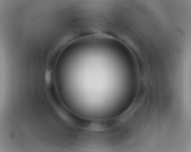 X0000114690070200910211321