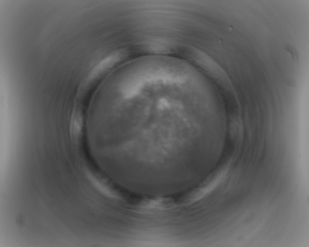 X0000114690072200910211321