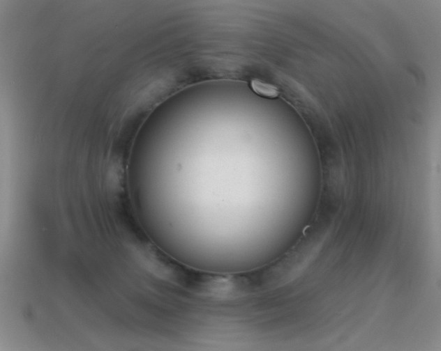X0000114690083200910211321