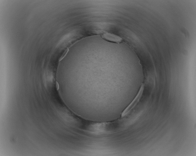 X0000114690084200910211321