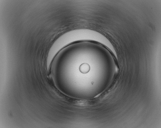 X0000114690088200910211321