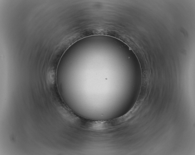 X0000114690090200910211321