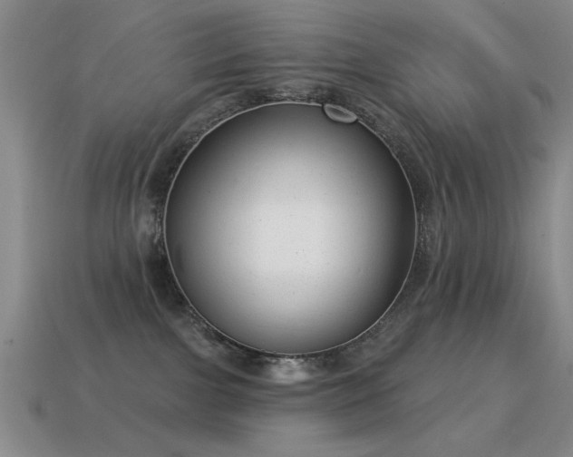 X0000114690091200910211321