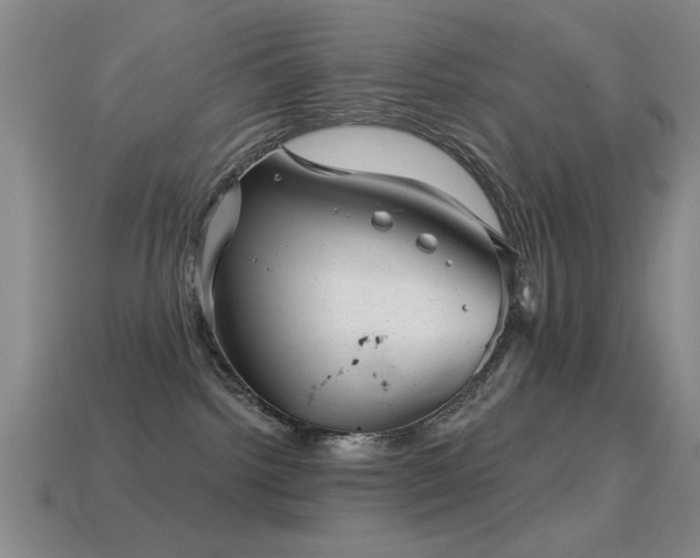 X0000114690092200910211321