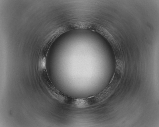 X0000114690095200910211321