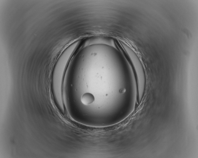 X0000114690097200910211321