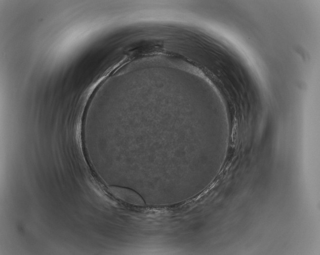 X0000114690099200910211321