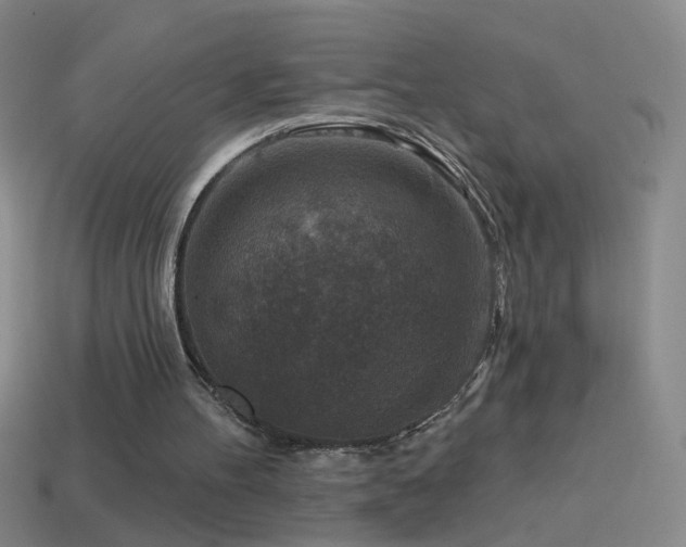 X0000114690100200910211321
