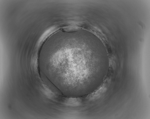 X0000114690101200910211321