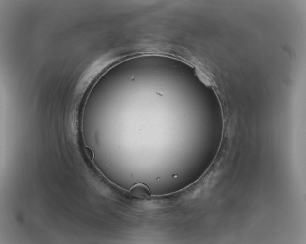 X0000114690103200910211321