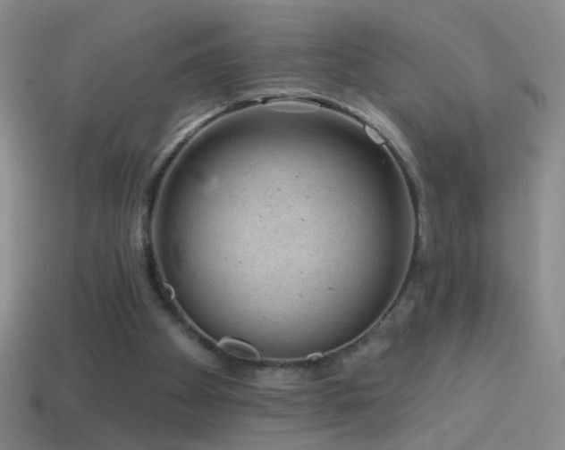 X0000114690105200910211321