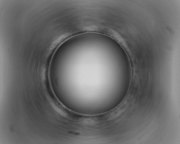 X0000114690106200910211321