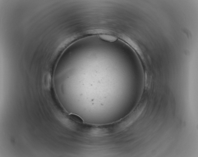 X0000114690109200910211321