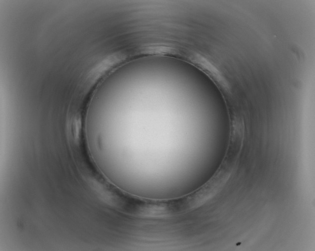 X0000114690110200910211321