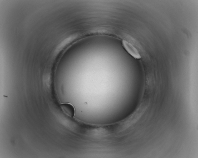 X0000114690112200910211320