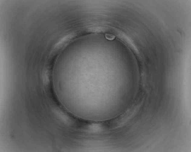 X0000114690114200910211320