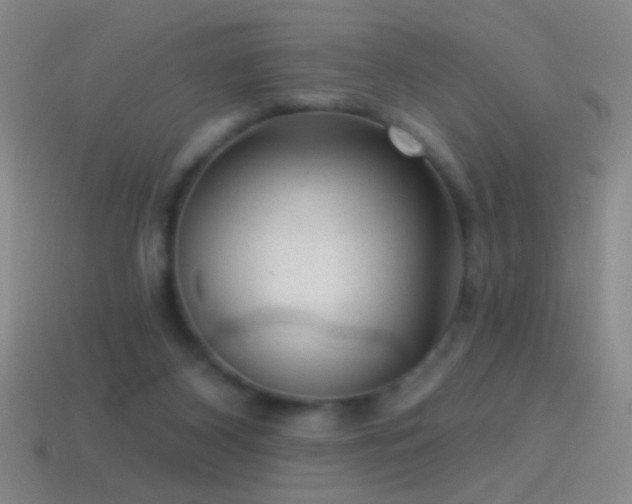 X0000114690116200910211320
