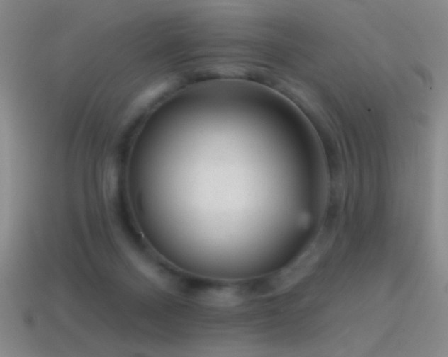 X0000114690120200910211320