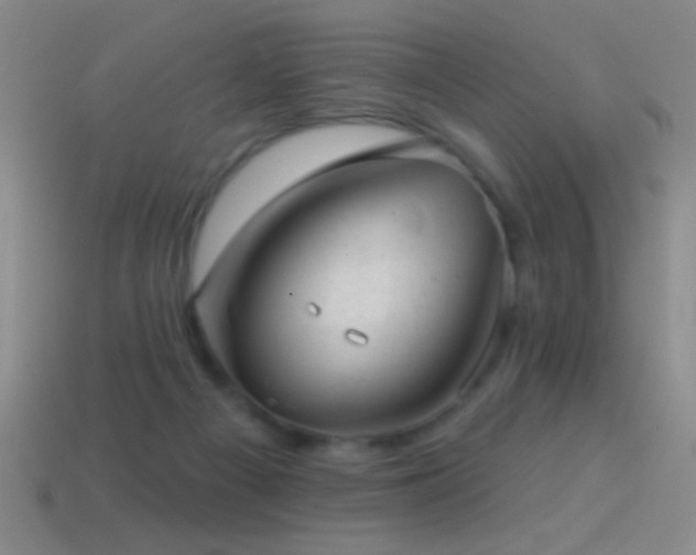 X0000114690121200910211320