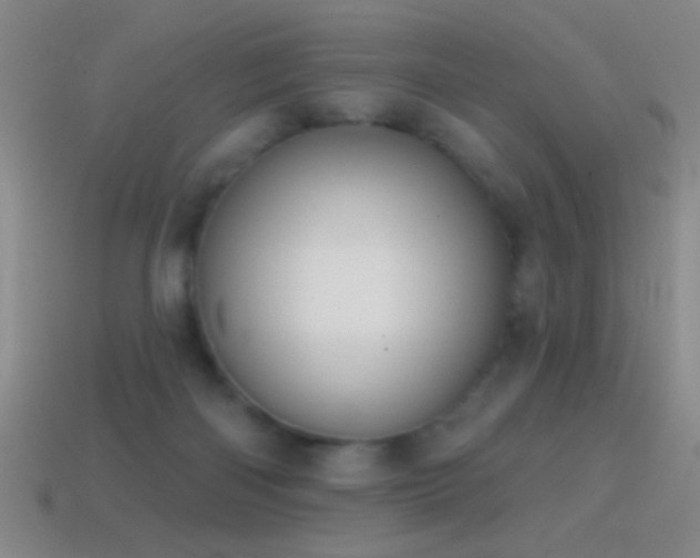 X0000114690122200910211320