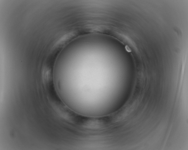X0000114690123200910211320