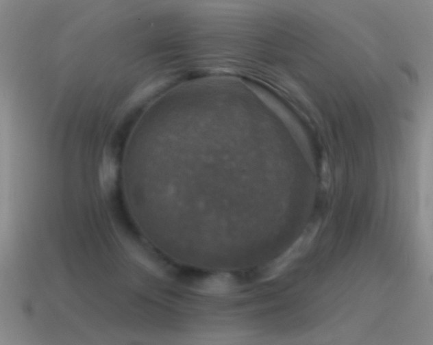 X0000114690124200910211320