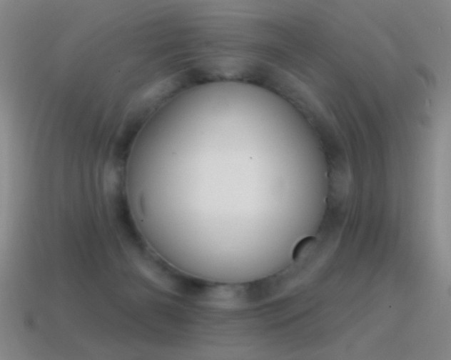 X0000114690126200910211320