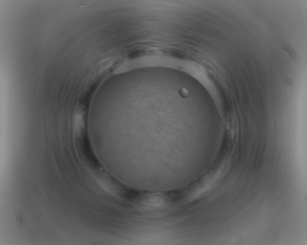 X0000114690127200910211320