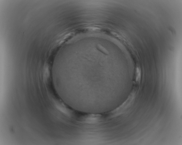 X0000114690128200910211320