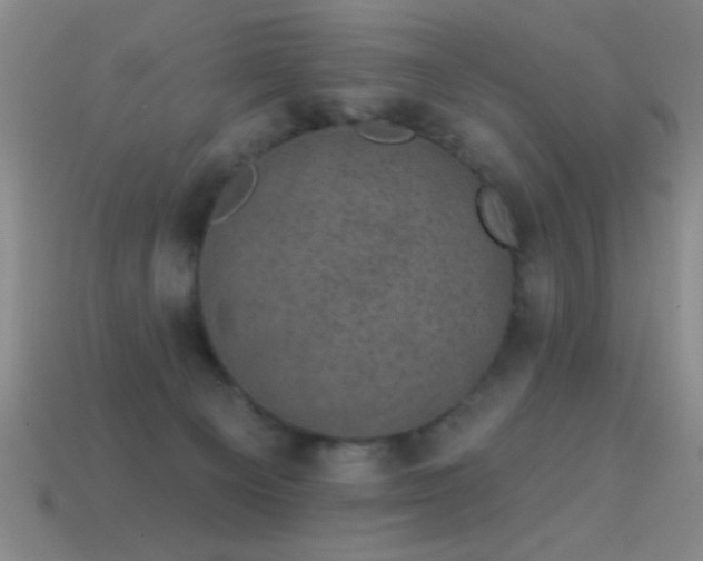X0000114690129200910211320