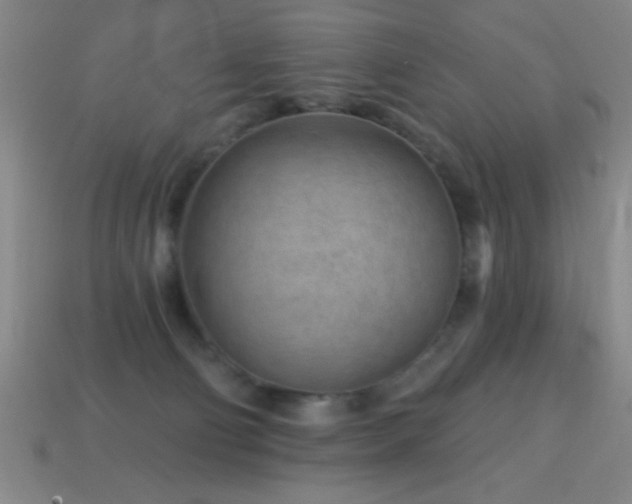 X0000114690130200910211320