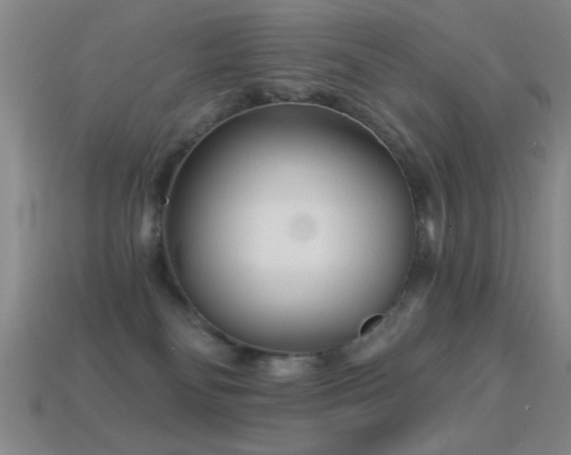 X0000114690134200910211320