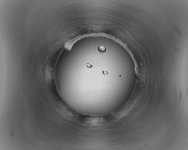 X0000114690135200910211320