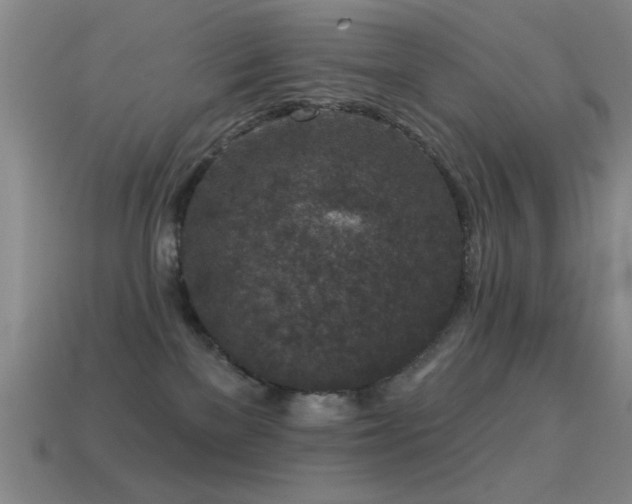 X0000114690137200910211320