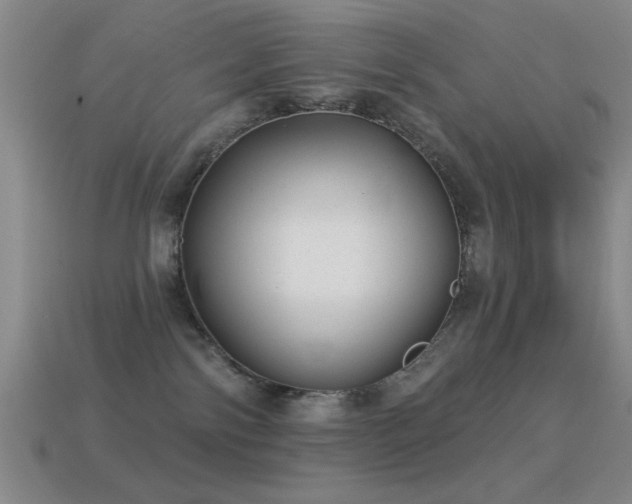 X0000114690138200910211320