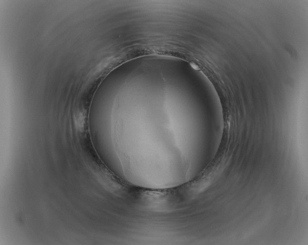X0000114690139200910211320