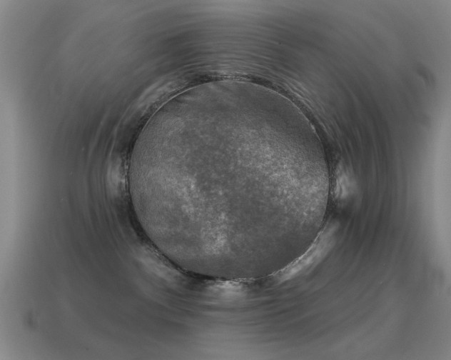 X0000114690140200910211320