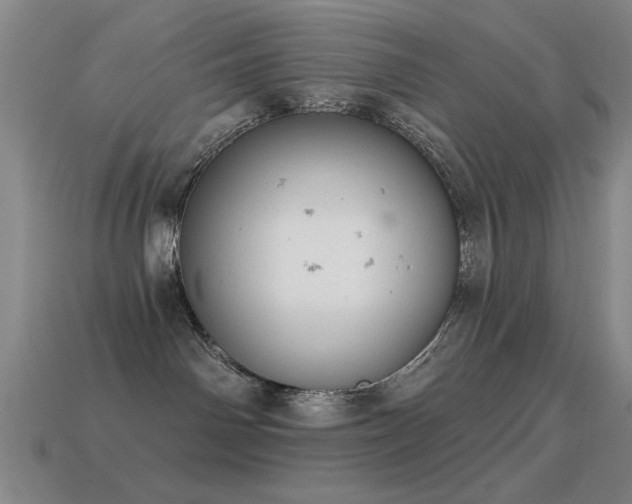 X0000114690142200910211320