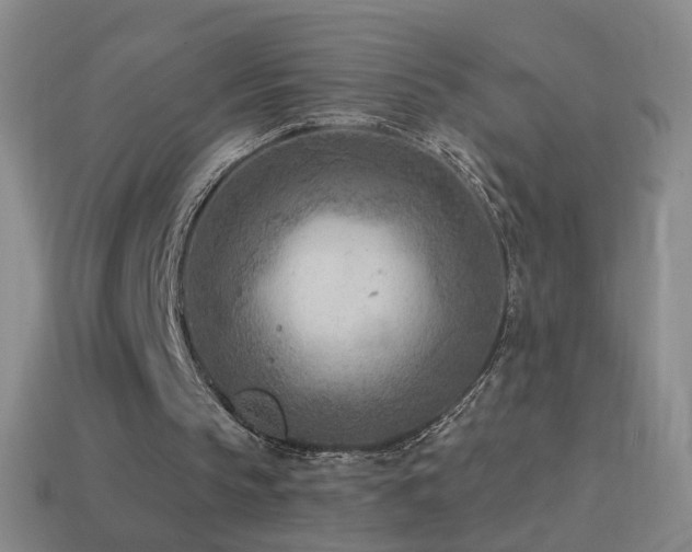 X0000114690145200910211319