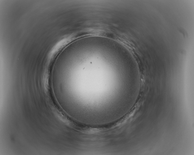 X0000114690149200910211320