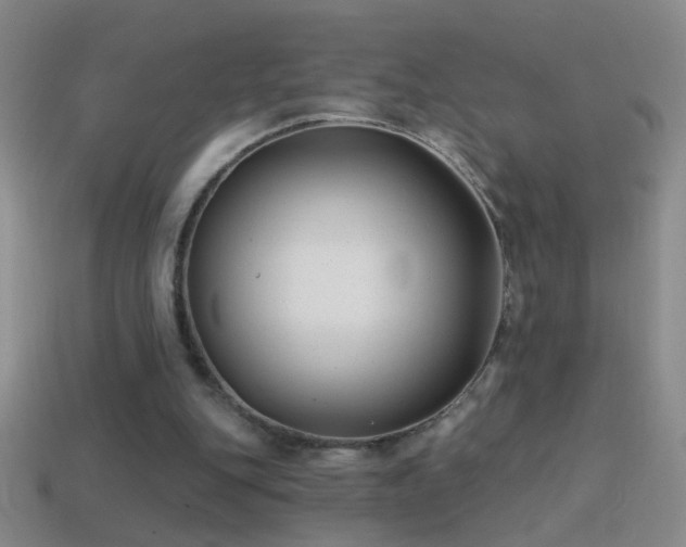X0000114690151200910211320