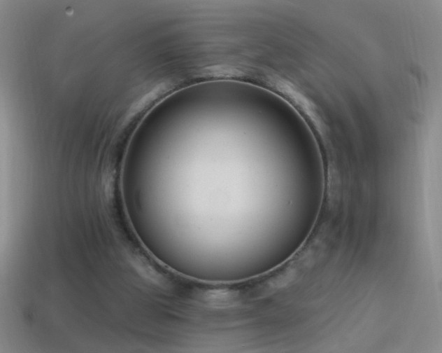 X0000114690153200910211320