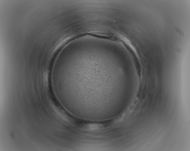 X0000114690154200910211320