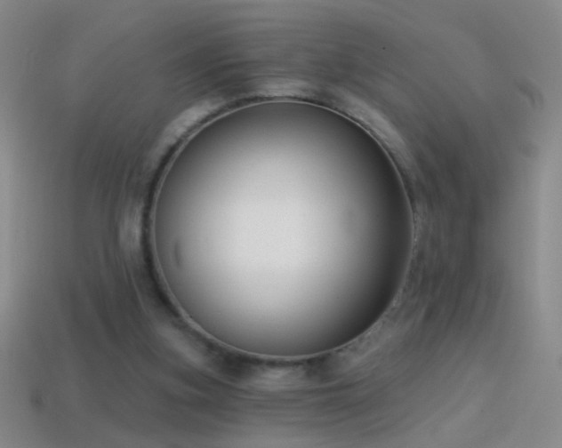 X0000114690155200910211320