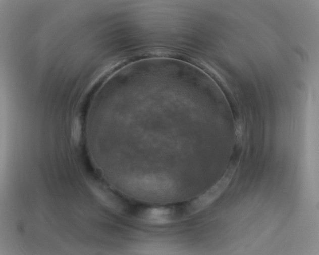 X0000114690158200910211320